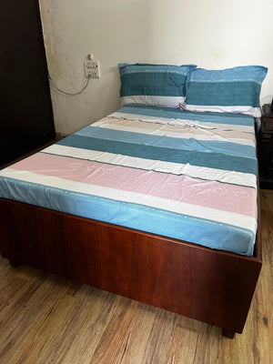 Descriptive image text